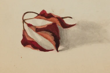 Unbetitelt, gekräuselte Herbstblätter, 1872