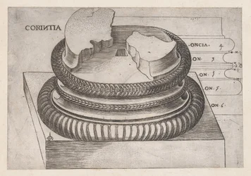 Speculum Romanae Magnificentiae: Korinthischer Sockel vom Tempel des Mars Ultor, Rom, ca. 1537