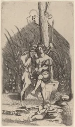Familie des Satyrs