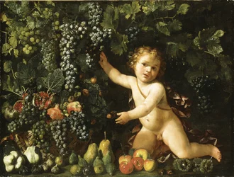Trauben am Weinstock, Granatäpfel, Trauben und Hagebutten in einem Korb, mit Feigen, Äpfeln, Birnen und Kastanien bei einem Putto