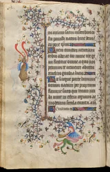 Stundenbuch von Karl dem Edlen, König von Navarra (1361-1425): fol. 31v, Text