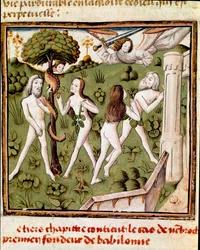 Adam und Eva pflücken die verbotene Frucht. Miniatur des Meisters des Champion des Dames aus dem Manuskript „Von berühmten Männern“ von Giovanni Boccaccio