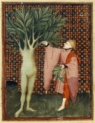 Apollo und Daphne