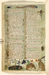 Kaninchen und Insekten, einschließlich einer Raupe, Libelle und einer Motte, aus einem Traktat über die Tugenden und Laster und einer anonymen Prosageschichte Siziliens (Fragment), ca. 1330-40