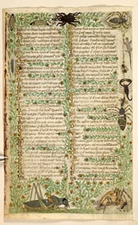 Blumen, Früchte und Insekten, einschließlich eines Skorpions und einer Eidechse. Abhandlung über die Tugenden und Laster und eine anonyme Prosa-Geschichte Siziliens (Fragment)