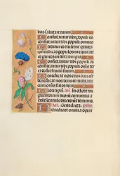 Stundenbuch der Königin Isabella der Katholischen, Königin von Spanien: Fol. 118v, ca. 1500