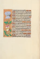 Stundenbuch der Königin Isabella der Katholischen, Königin von Spanien: Fol. 120v