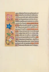 Stundenbuch der Königin Isabella die Katholische, Königin von Spanien: Fol. 123v, ca. 1500