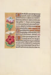 Stundenbuch der Königin Isabella der Katholischen, Königin von Spanien: Fol. 129v, ca. 1500