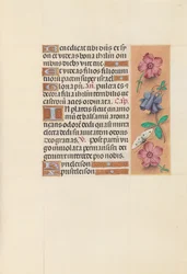 Stundenbuch der Königin Isabella die Katholische, Königin von Spanien: Fol. 144r, ca. 1500