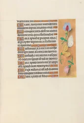 Stundenbuch der Königin Isabella die Katholische, Königin von Spanien: Fol. 156r, ca. 1500