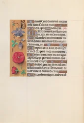 Stundenbuch der Königin Isabella der Katholischen, Königin von Spanien: Fol. 204v