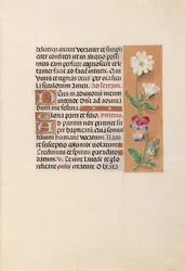 Stundenbuch der Königin Isabella die Katholische, Königin von Spanien: Fol. 20r, um 1500