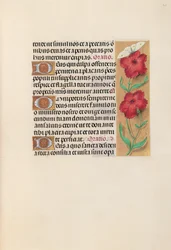 Stundenbuch der Königin Isabella die Katholische, Königin von Spanien: Fol. 217r, ca. 1500