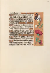 Stunden der Königin Isabella der Katholischen, Königin von Spanien: Fol. 249r, um 1500
