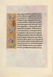 Stundenbuch der Königin Isabella der Katholischen, Königin von Spanien: Fol. 262v, ca. 1500