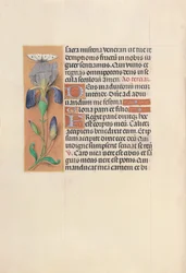 Stundenbuch der Königin Isabella die Katholische, Königin von Spanien: Fol. 45v, ca. 1500