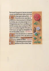 Stundenbuch der Königin Isabella der Katholischen, Königin von Spanien: Fol. 46r