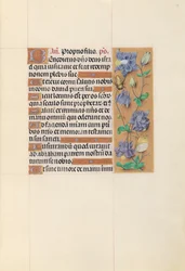 Stundenbuch der Königin Isabella die Katholische, Königin von Spanien: Fol. 59r, um 1500