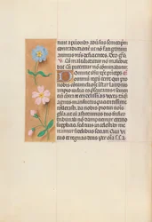 Stundenbuch der Königin Isabella der Katholischen, Königin von Spanien: Fol. 62v, um 1500