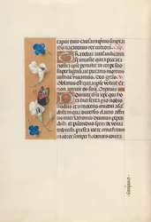 Stundenbuch der Königin Isabella der Katholischen, Königin von Spanien: Fol. 67v