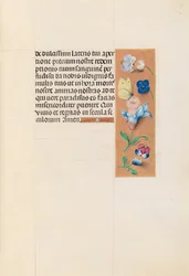 Stundenbuch der Königin Isabella der Katholischen, Königin von Spanien: Fol. 71r
