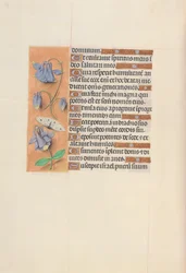 Stundenbuch von Königin Isabella der Katholischen, Königin von Spanien: Fol. 75v, um 1500