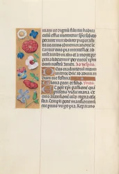 Stundenbuch der Königin Isabella der Katholischen, Königin von Spanien: Fol. 84v, ca. 1500