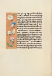 Stundenbuch der Königin Isabella der Katholischen, Königin von Spanien: Fol. 95v