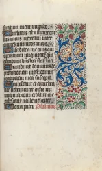 Stundenbuch Gebrauch von Rouen: fol. 81r, um 1470