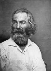 Walt Whitman 1819-1892, amerikanischer Dichter, ca. 1880er