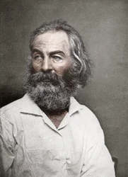Walt Whitman, amerikanischer Dichter, um 1880er