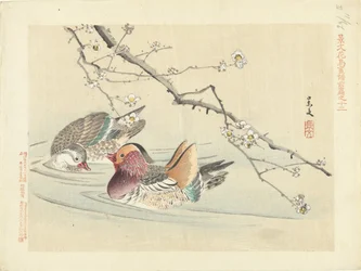 Zwei Enten (Blumen- und Vogelskizzen von Keibun - Teil eins)