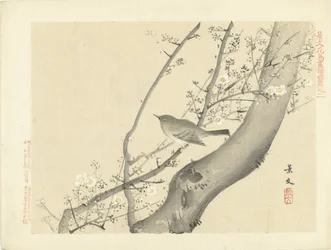 Vogel im Baum mit weißen Blüten Blumen- und Vogelskizzen von Keibun - Teil eins (Serientitel) Keibun kacho gafu zenpen (Serientitel auf Objekt)