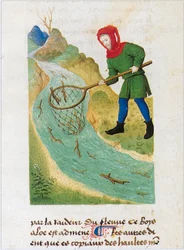 Le Livre des simples medecines - Übersetzung ins Französische aus dem lateinischen Manuskript des 12. Jahrhunderts von Matthaeus Platearius