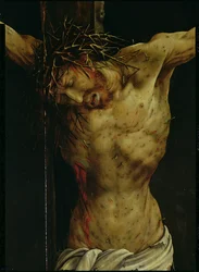Die Kreuzigung aus dem Isenheimer Altar, Detail des Torsos Christi, ca. 1512-16 (Detail)