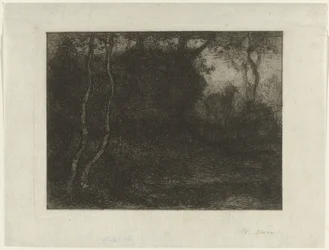 Wald mit Zicklein