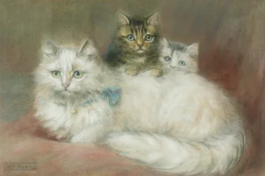 Eine Perserkatze und ihre Kätzchen