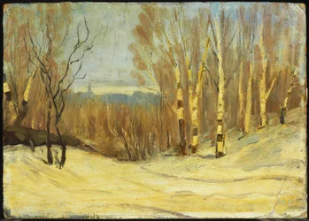 Winter bei Montreal