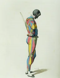 Harlekin im Jahr 1858