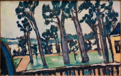 Blick vom Rupenhorn auf die Havel