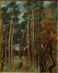 Hermsdorfer Wald am grauen Tag