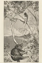 Bär und Elfe: pl.1