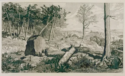 Landschaft mit Bäumen