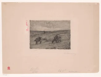 Landschaft mit weidenden Ziegen