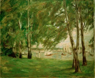 Birken am Wannseeufer nach Osten