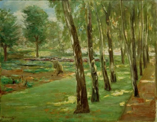 Die Birkenallee im Wannseegarten – Blick auf das Kohlfeld