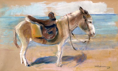 Esel am Strand von Noordwijk, 1908