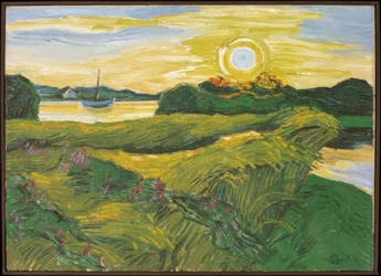 Feld mit Wicken – abends