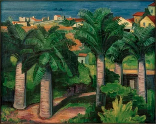 Palmen in Collioure